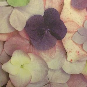 Meet your Posher, Francesca